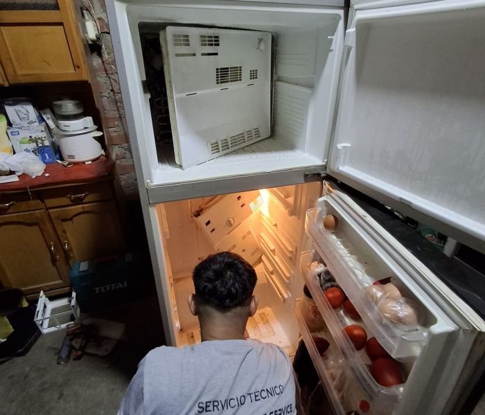 refrigeradora 4